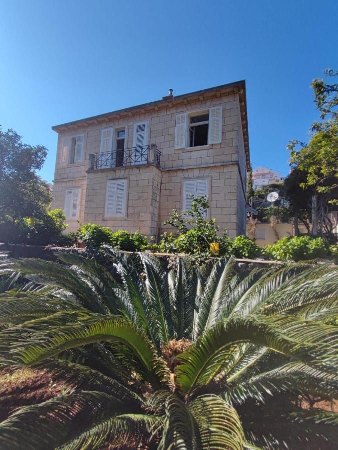 Arancia Dubrovník